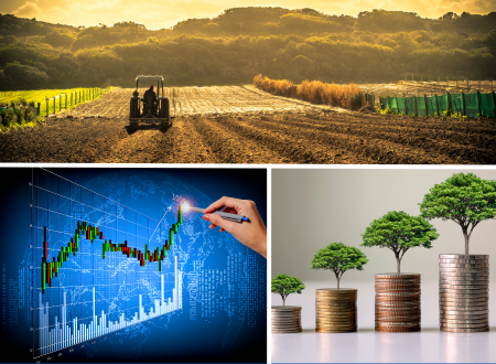 Raising awareness of the concept and benefits of agri-food value chains