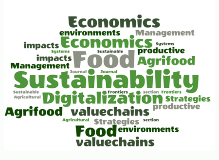 « Call for Paper : Stratégies de numérisation et de durabilité dans les chaînes de valeur agroalimentaires »