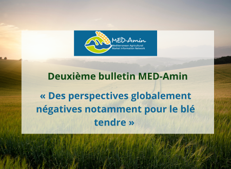 Découvrez le deuxième bulletin de MED-Amin : Perspectives de récolte des cultures d&rsquo;hiver au 10 mai 2024