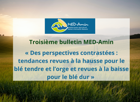 Découvrez le troisième bulletin de MED-Amin : | Perspectives de récolte des cultures d&rsquo;hiver au 10 juin 2024