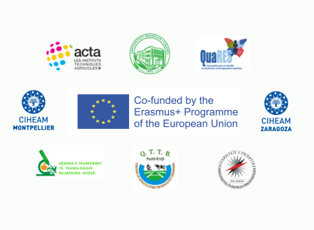 Erasmus+ CBVET Selection – Call 2024