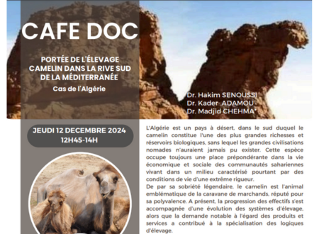 Invitation by CIHEAM Montpellier: Café Doc on   December 12th 2024 at 12.45pm – The importance of camel farming in the southern Mediterranean: the case of Algeria