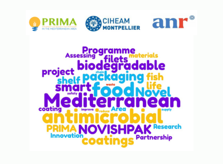 NOVISHPAK : Terms of reference for a service provider in support for the project implementation – Deadline Extended