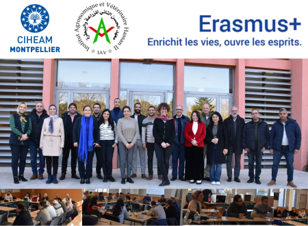Formation Erasmus IAV Hassan II