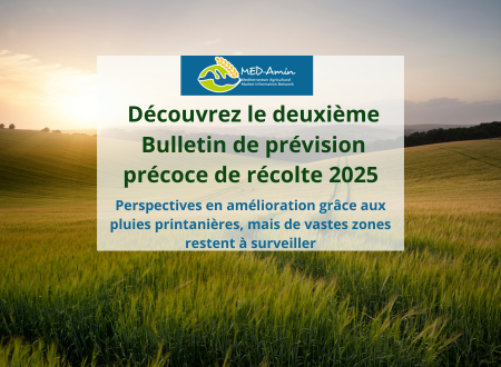 MED-Amin : Découvrez le deuxième Bulletin de prévision précoce de récolte 2025