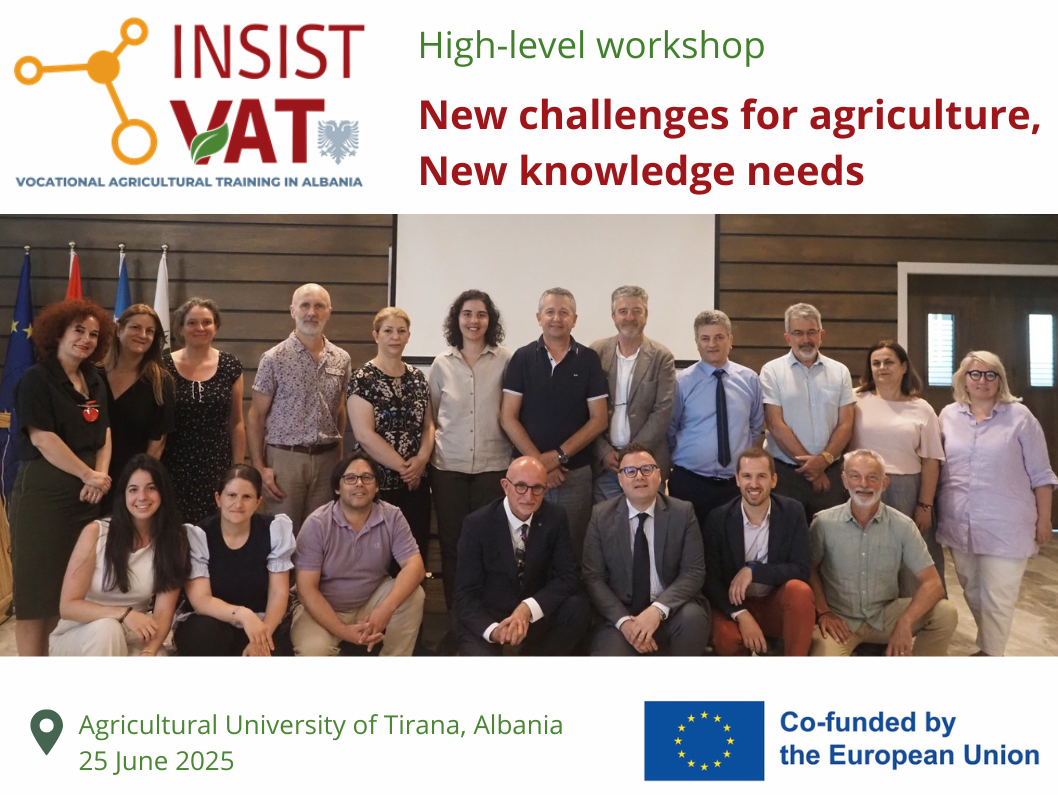 First High-level workshop & Steering Committee of the “INSIST-VAT” project
