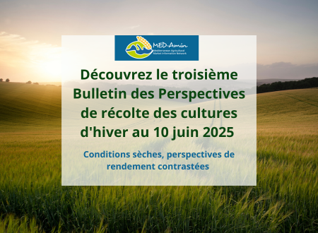 MED-Amin : Découvrez le troisième Bulletin des Perspectives de récolte des cultures d&rsquo;hiver au 10 juin 2025