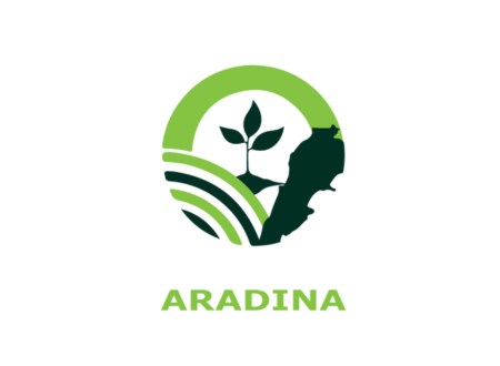 ARADINA Project: extension of the deadline for submitting quotations for a service contract