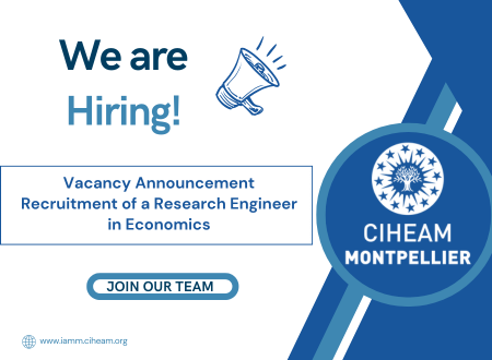 VACANCY ANNOUNCEMENT: Recruitment of a Research Engineer in Economics