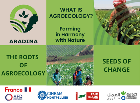 CIHEAM Montpellier supports the agroecological transition in Lebanon with the ARADINA project