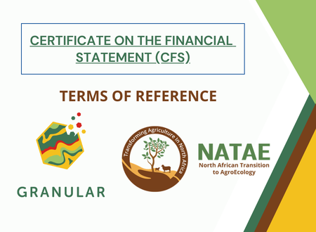TERMS OF REFERENCE : CERTIFICATE ON THE FINANCIAL STATEMENT (CFS)
