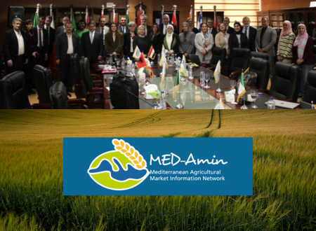 Second Strategic Meeting of MED-Amin in Cairo
