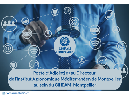 Poste d’Adjoint(e) au Directeur de l’Institut Agronomique Méditerranéen de Montpellier au sein du CIHEAM-Montpellier
