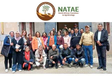 NATAE: Tizi Ouzou Living Lab: a successful participatory review of agroecological practices