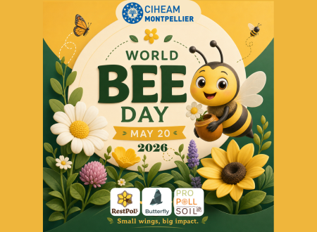 Rejoignez-nous pour la Journée Mondiale des Abeilles 2026 !